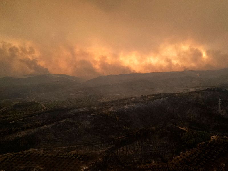 APTOPIX_Greece_Wildfires_78849--b4a6e