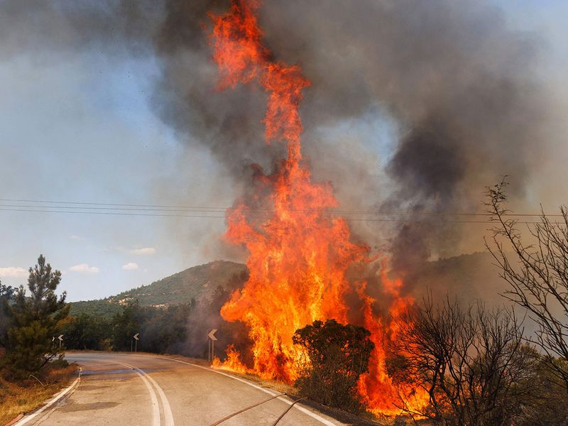 Greece_Wildfires_07468--e977f