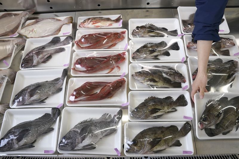 Stock - Japan fish