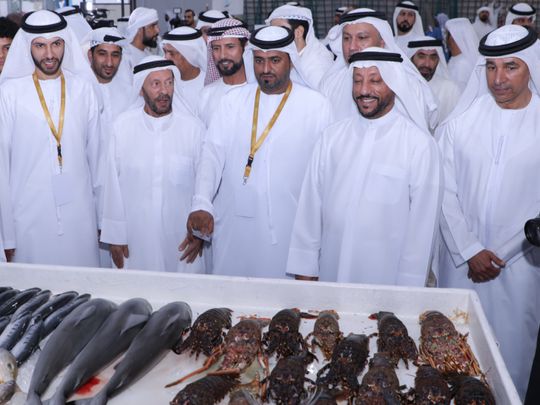 During Al Maleh and Fishing Festival111-1693635603927