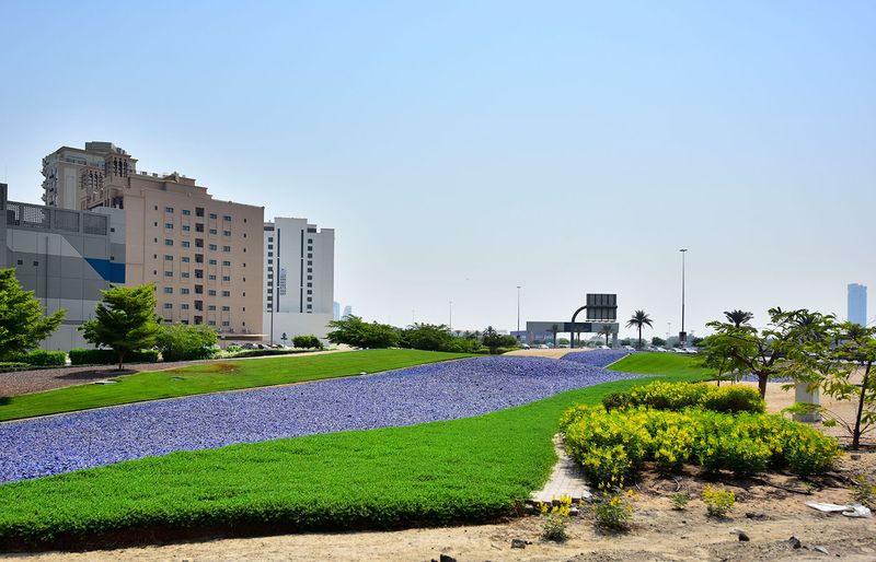 Dubai Municipality gardeners hard through the day to beautify the city. Photo Clint Egbert/Gulf News