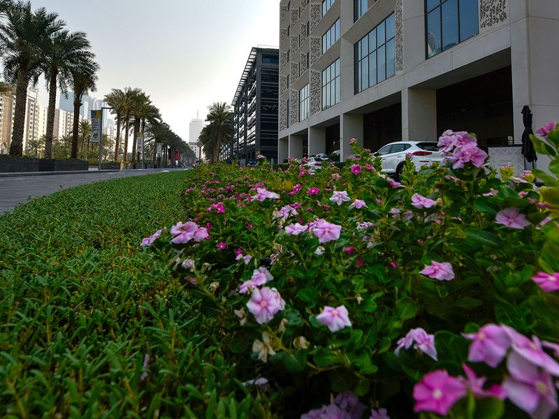 Flower bed outside the One Central building in the heart of Dubai's financial district. Photo taken on August 23, 2023 taken by Ahmed Ramzan/Gulf News