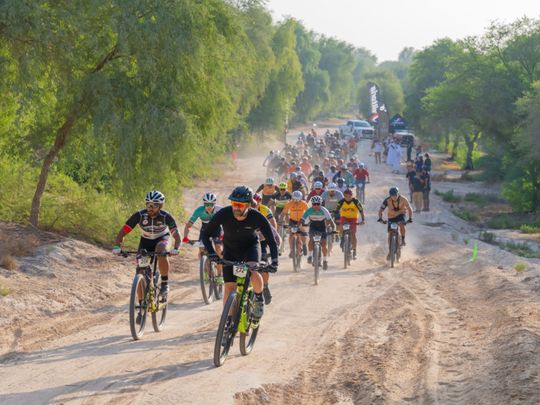 سباق دراجات جبلية فريد من نوعه يقود الدراجين عبر غابة في دبي