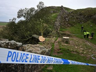 Man pleads not guilty to cutting UK's famous tree