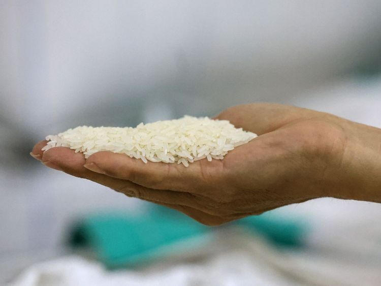 India Cuts Basmati Export Floor Price to Stay Competitive in Global Market