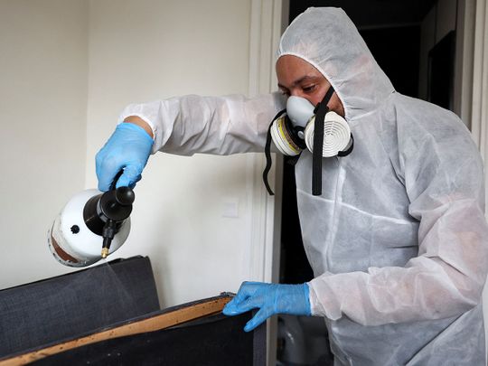 Salim Dahou, biocide technician of the company Hygiene Premium, sprays insecticide against bedbugs on a sofa bed in L'Hay-les-Roses, near Paris, France, September 29, 2023. 