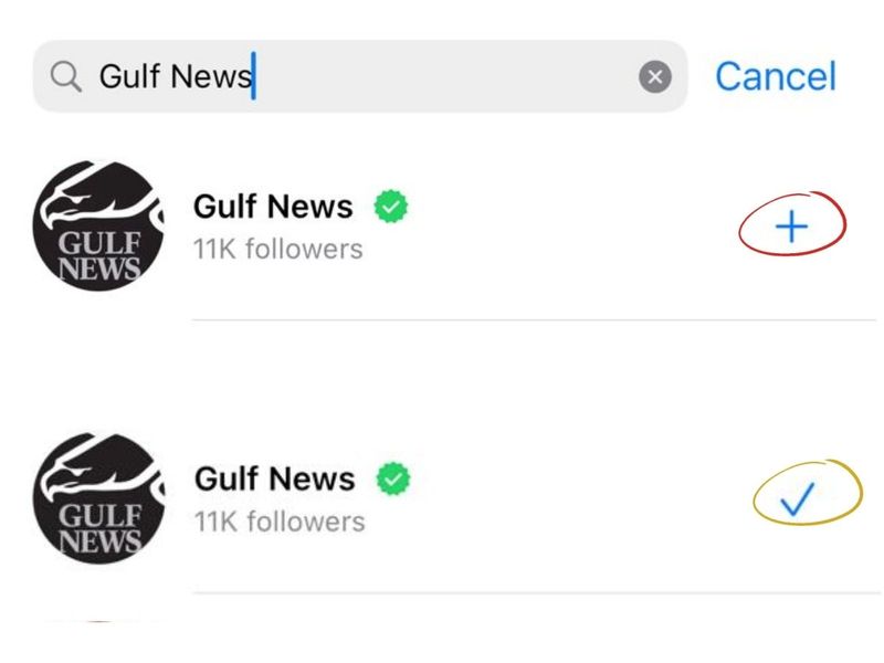 In the search bar, type ‘Gulf News’. Click the '+' sign to subscribe.