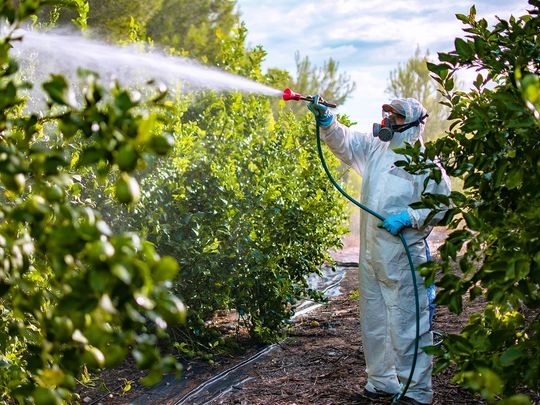 EU legislators vote to slash use of pesticides