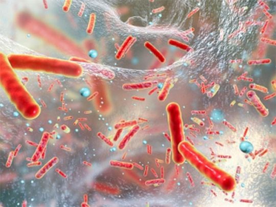 Genomic surveillance tech key to curb deadly ‘superbug’ spread
