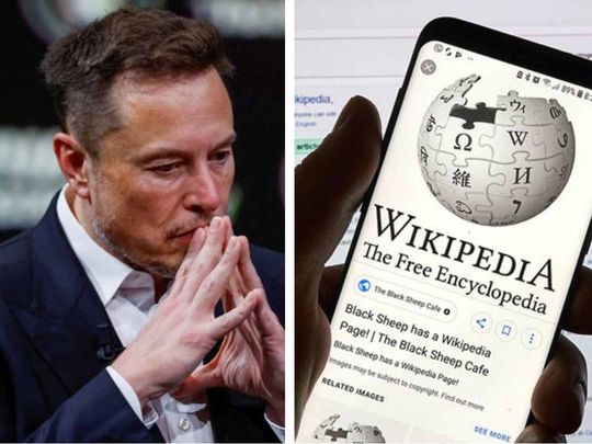Musk and the Wikipedia