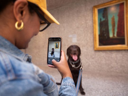 Fotos: En México, el arte moderno también es para perros, con inauguración de exposición