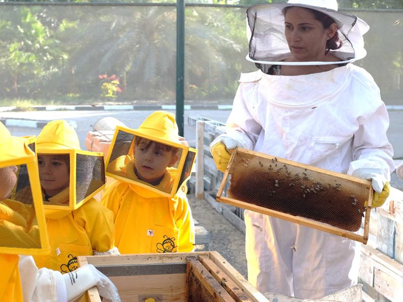 Zahira Nedjraoui, the president of the Beekeepers Association UAE, teaching children about beekeeping.