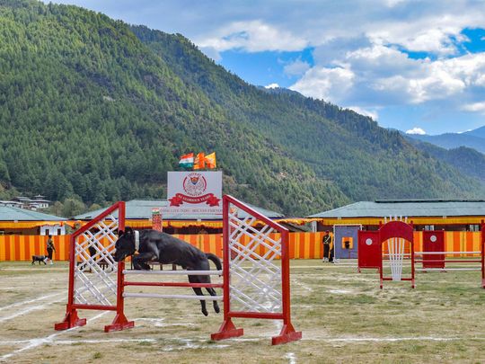  An Indian Army dog performs a stunt on the 61st Raising Day of Indian Military Training Team (IMTRAT) in Bhutan, on Monday. 