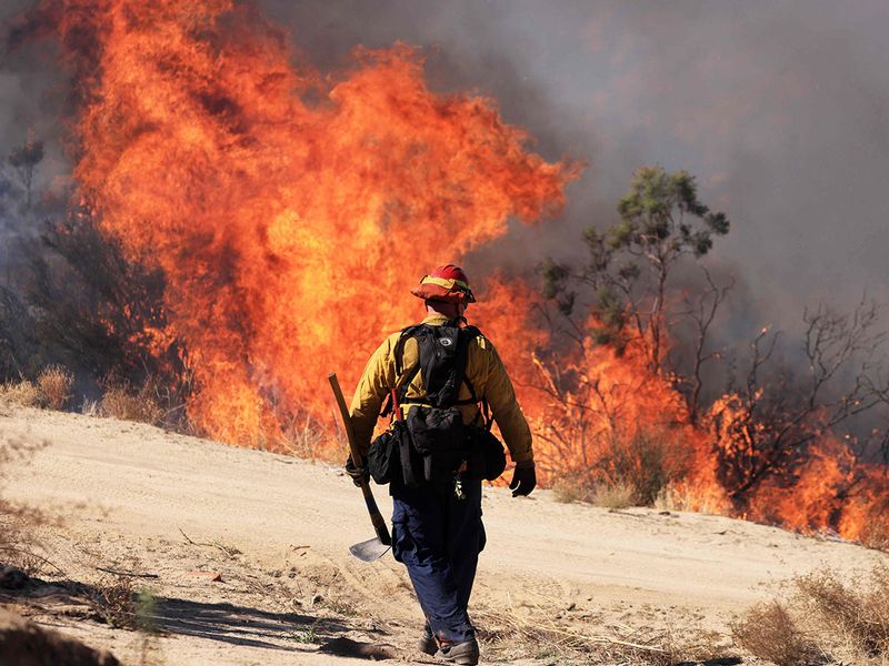 Wildfire advances near the eastern town of Palma de Gandia in Valencia, Spain, Friday, Nov. 3, 2023.