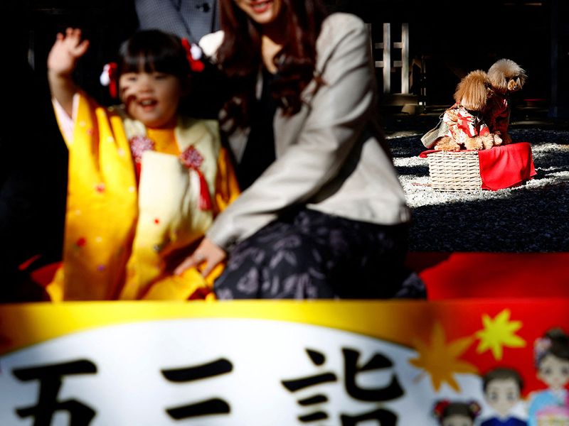 2023-11-14T104111Z_846495840_RC2RC4A3HUFG_RTRMADP_3_JAPAN-CEREMONY-PETS