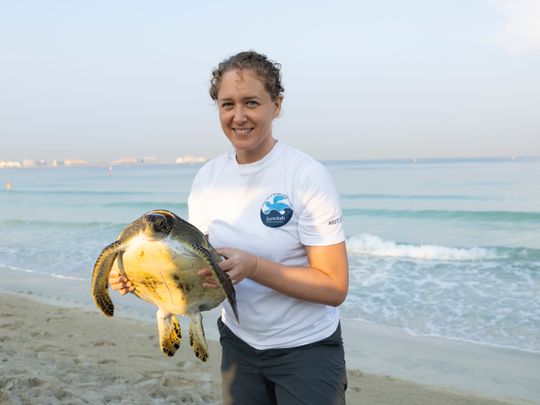 Bárbara Lang-Lenton, the Director of Burj Al Arab Aquarium and Dubai Turtle Rehabilitation Project, explained to Gulf News how injured and rescued turtles are rehabilitated under expert care, at the Jumeirah Al Naseem Turtle Lagoon.