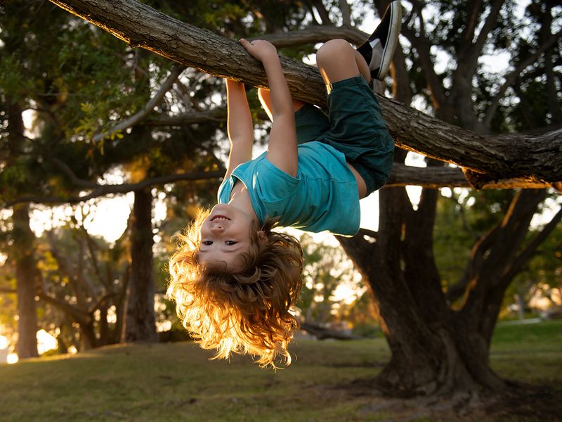 Child playing on a branch