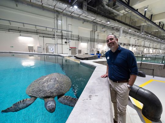 Jonathan Diaz, Zoological Senior Manager of Rescue, at the Yas Seaworld Research and Rescue center