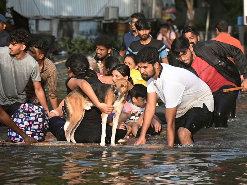 Residents with a dog sit on makeshift raft as they are evacuated from a flooded area in Chennai on December 5, 2023, following intense rains after Cyclone Michaung made a landfall. Chest-high water surged down the streets of India's southern city Chennai on December 5, with eight people killed in intense floods as Cyclone Michaung made landfall on the southeast coast. 