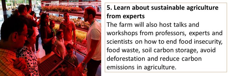 Learn about sustainable agriculture from experts The farm will also host talks and workshops from professors, experts and scientists on how to end food insecurity, food waste, soil carbon storage, avoid deforestation and reduce carbon emissions in agriculture. 