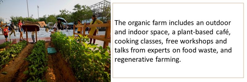 The organic farm includes an outdoor and indoor space, a plant-based café, cooking classes, free workshops and talks from experts on food waste, and regenerative farming.