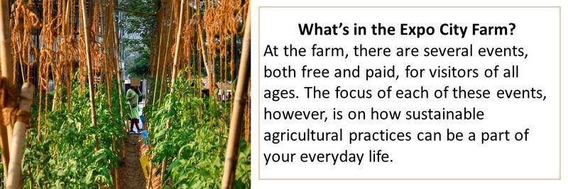 What’s in the Expo City Farm?  At the farm, there are several events, both free and paid, for visitors of all ages. The focus of each of these events, however, is on how sustainable agricultural practices can be a part of your everyday life.