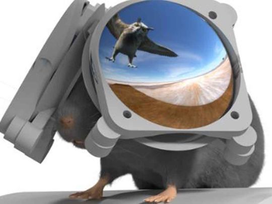 Northwestern's miniature VR goggles for mice 