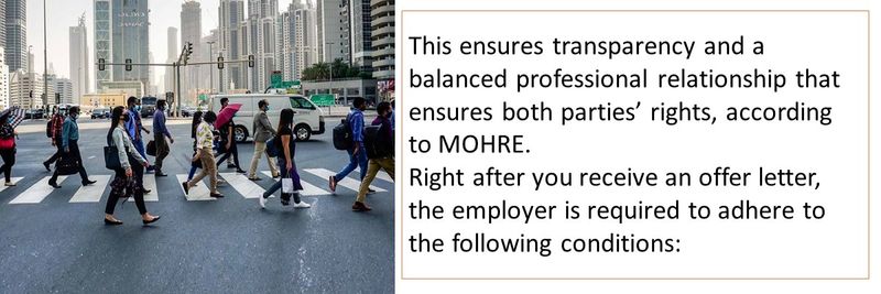 This ensures transparency and a balanced professional relationship that ensures both parties’ rights, according to MOHRE.  Right after you receive an offer letter, the employer is required to adhere to the following conditions: