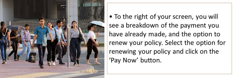 • To the right of your screen, you will see a breakdown of the payment you have already made, and the option to renew your policy. Select the option for renewing your policy and click on the ‘Pay Now’ button.