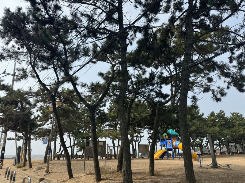 According to tour guides the beach area is a popular filming location and some of these restaurants and the beach have also been featured in K-dramas like ‘My Love from the Stars’.
