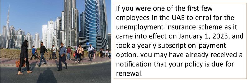 If you were one of the first few employees in the UAE to enrol for the unemployment insurance scheme as it came into effect on January 1, 2023, and took a yearly subscription payment option, you may have already received a notification that your policy is due for renewal.