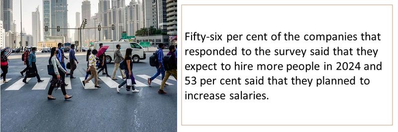 Fifty-six per cent of the companies that responded to the survey said that they expect to hire more people in 2024 and 53 per cent said that they planned to increase salaries.
