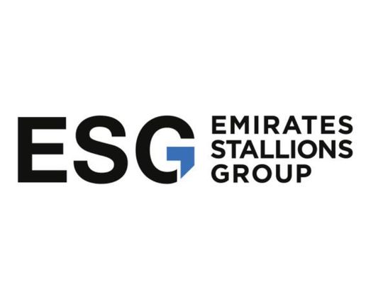 Stock-Emirates-Stallion-Group