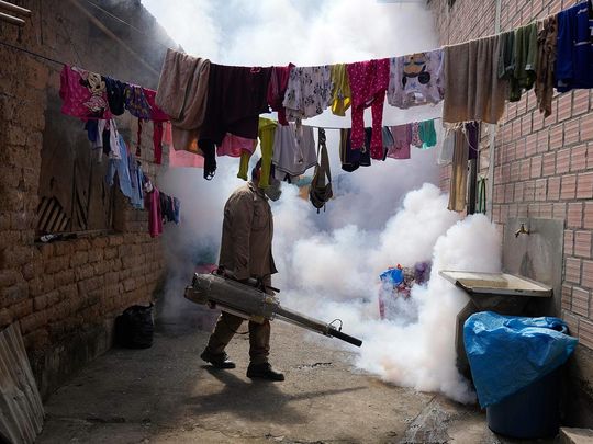 File photo: A health worker fumigates a home for mosquitos to help mitigate the spread of dengue in Caranavi, Bolivia.