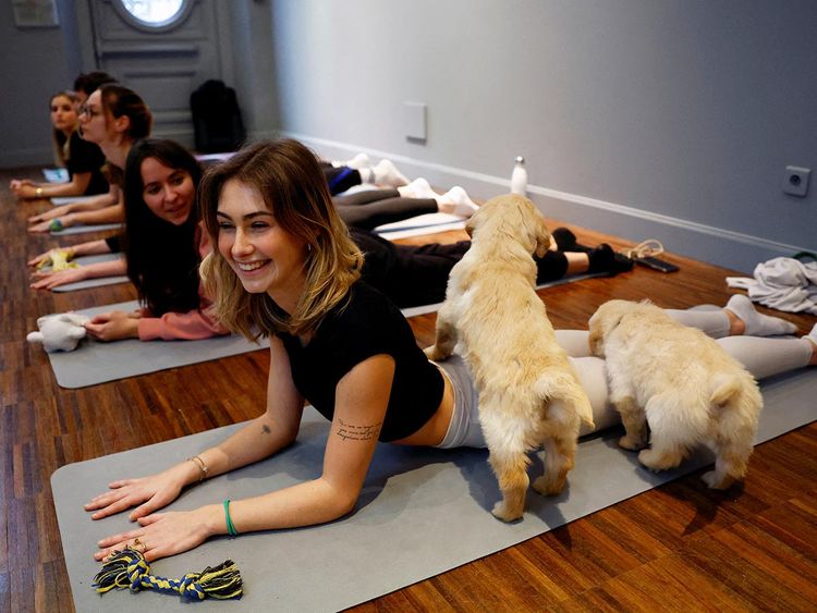 Photos: Parisians combine yoga with puppy cuddles for ultimate