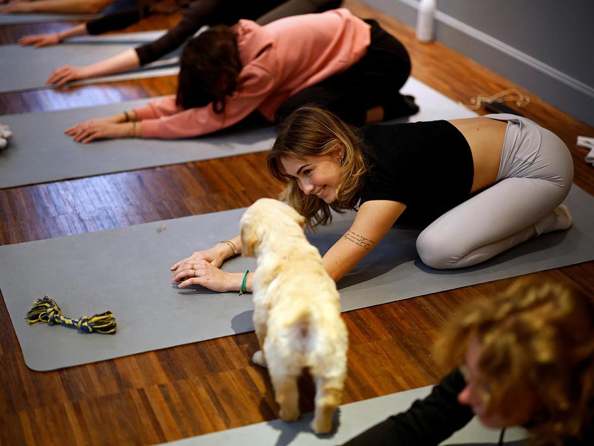 Participants perform a yoga exercise as a Golden Retriever puppy plays around them during a yoga class at a studio in Paris. 