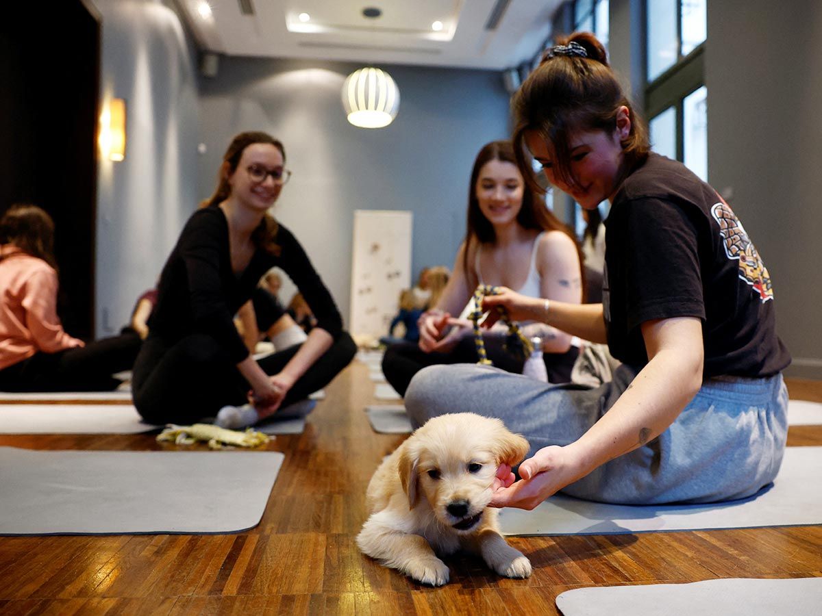 Participants play with a Golden Retriever puppy during a yoga class at a studio in Paris. 