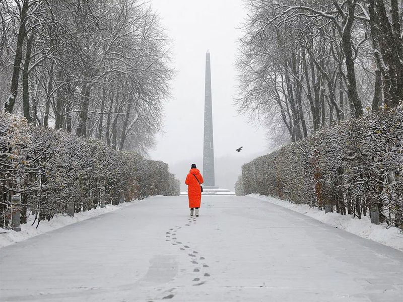 A woman walks in a snow-covered park during the first snowfall of the year in Kyiv, Ukraine, November 22.