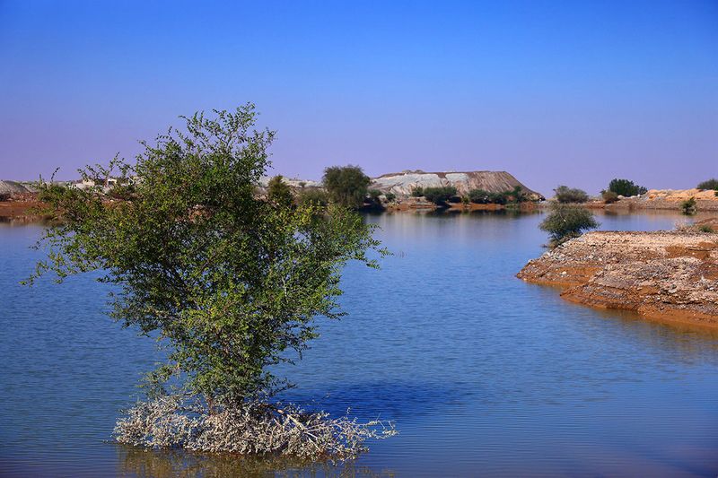 Wadi Shawka 