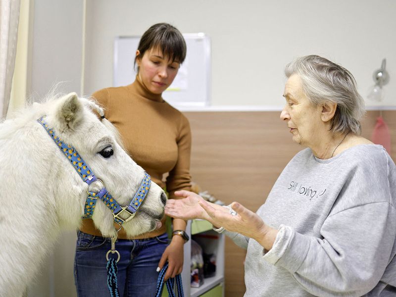 2023-12-27T083111Z_1469440995_RC2YW4A66WP9_RTRMADP_3_RUSSIA-HEALTH-PONY-THERAPY
