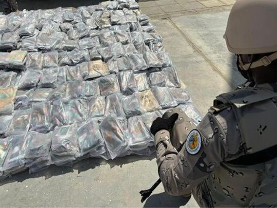 Image shows the seized drugs.