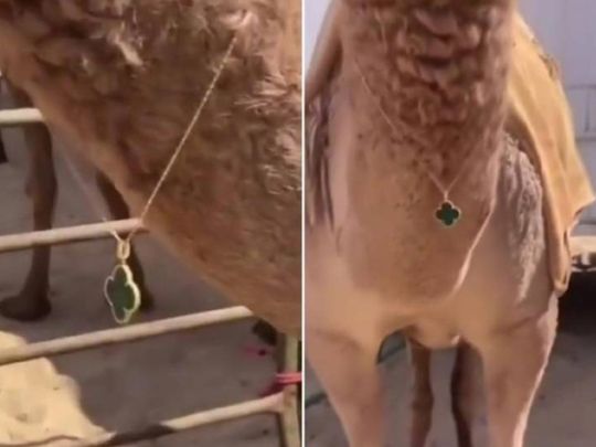 Camel gifted Van Cleef necklace 