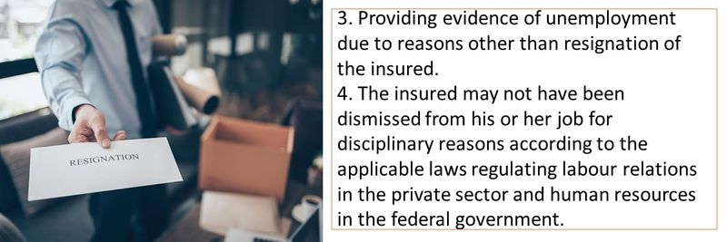 3. Providing evidence of unemployment due to reasons other than resignation of the insured. 4. The insured may not have been dismissed from his or her job for disciplinary reasons according to the applicable laws regulating labour relations in the private sector and human resources in the federal government.