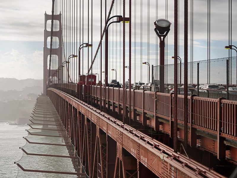 Golden Gate bridge net