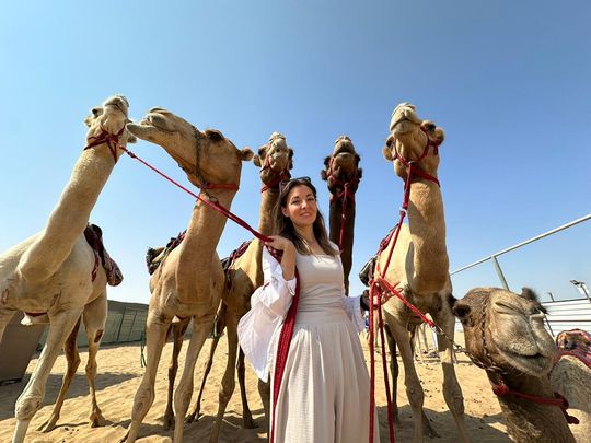Linda Krockenberger Camel