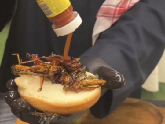 Locust-based dishes gaining popularity in Saudi Arabia