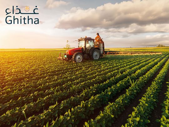 Ghitha's accomplishment of 100% revenue growth in 2023 showcases robust market expansion and operational excellence