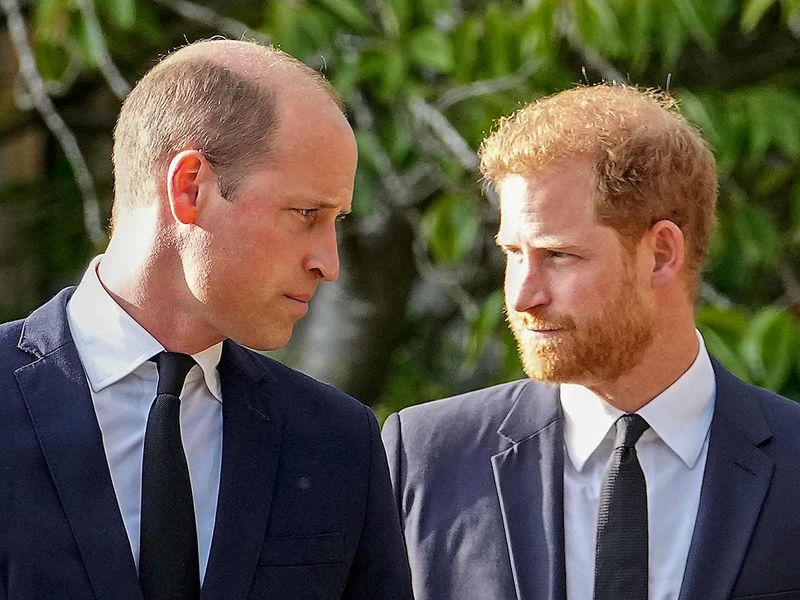 Britain's Prince William and Britain's Prince Harry