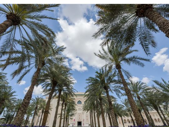 American University of Sharjah (AUS)