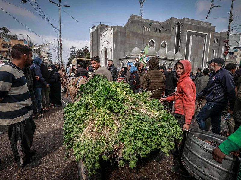 A Palestinians man in a horse-pulled cart sells edible plants in a main street in Rafah in the southern Gaza Strip. 